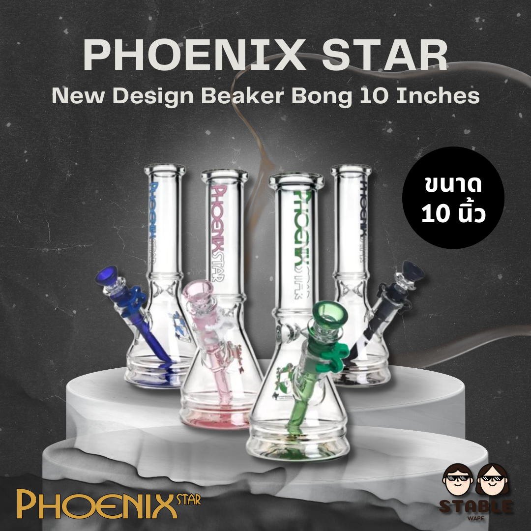 PHOENIX STAR New Design Beaker Bong 10 Inches