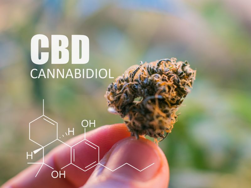 CBD คืออะไร ? มาจากไหน ? ทำความรู้จักแบบเข้าใจง่ายเกี่ยวกับสาร cannabidiol